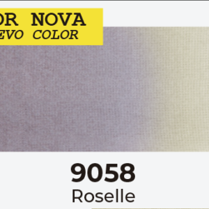 9058 Roselle